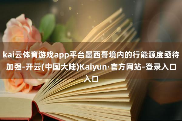 kai云体育游戏app平台墨西哥境内的行能源度亟待加强-开云(中国大陆)Kaiyun·官方网站-登录入口